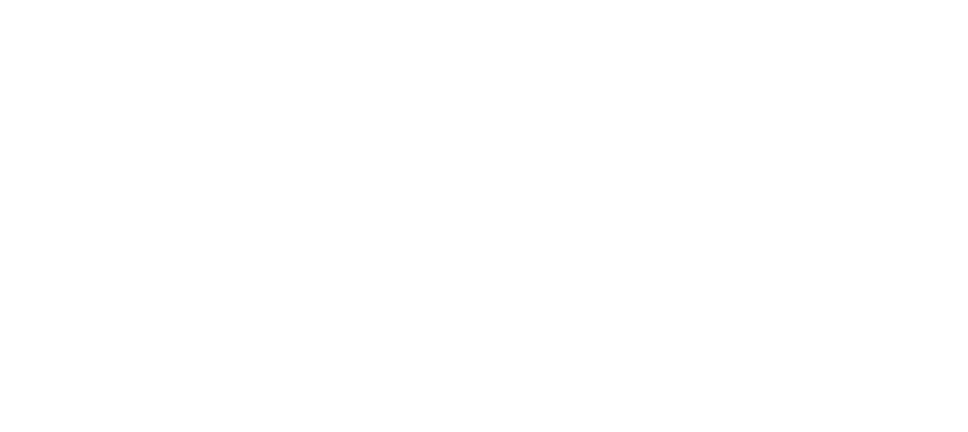 RKW 01